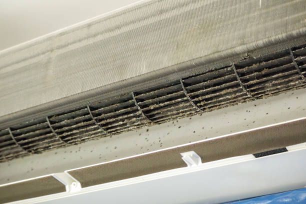 Best Air Duct Cleaning Near Me  in Echelon, NJ